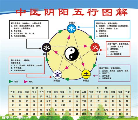 6 五行|五行的阴阳属性对应表